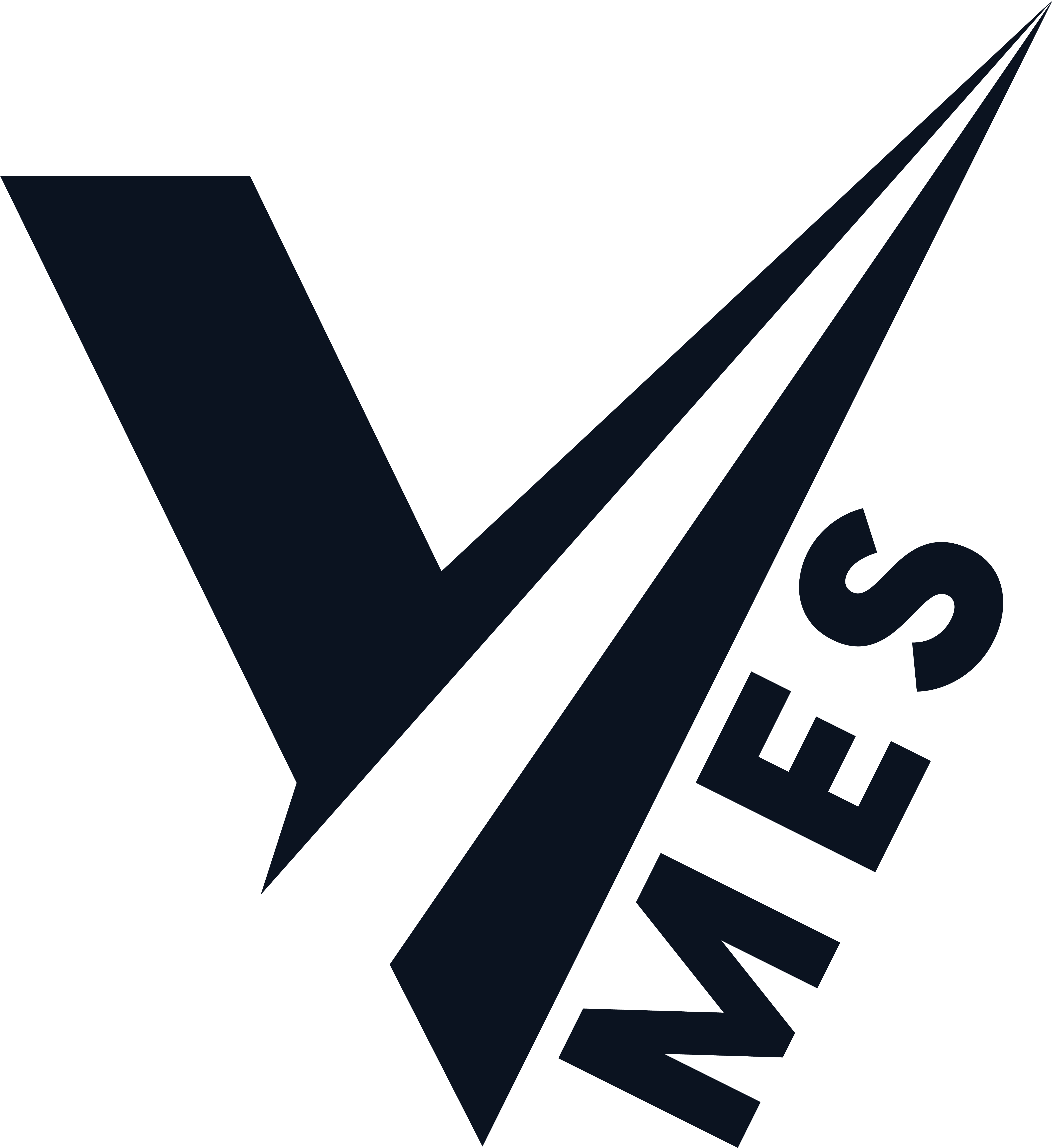 V-MES 